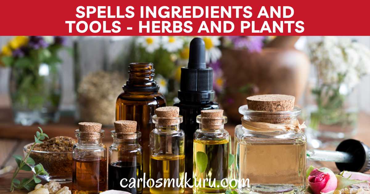 Spells Ingredients and Tools